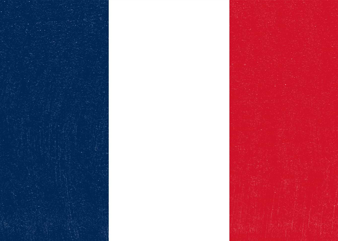 France Flag Distressed