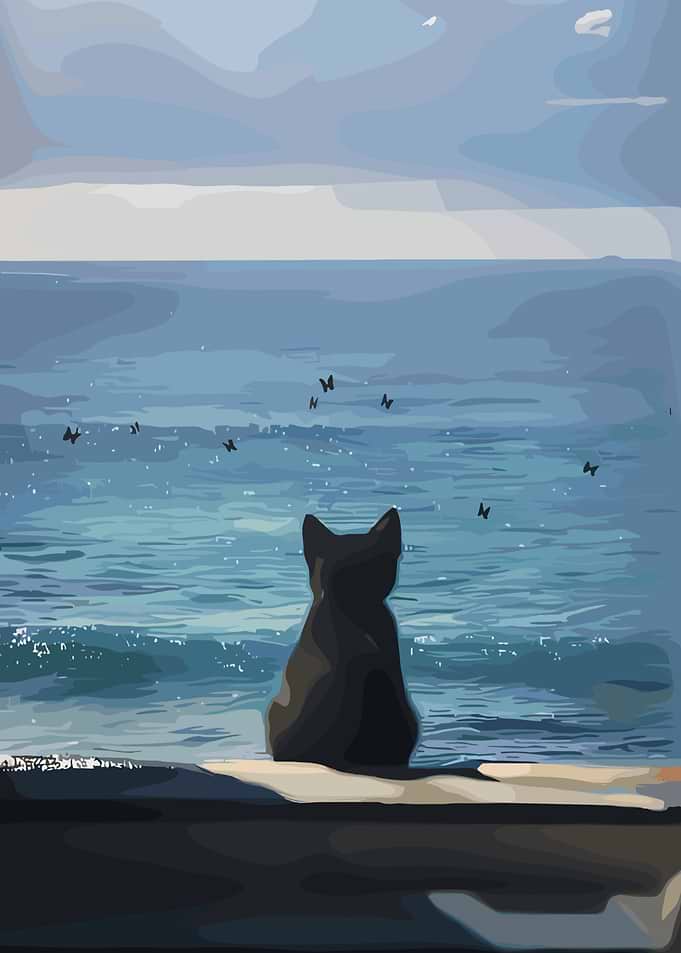 Black cat watching butterflies by the sea