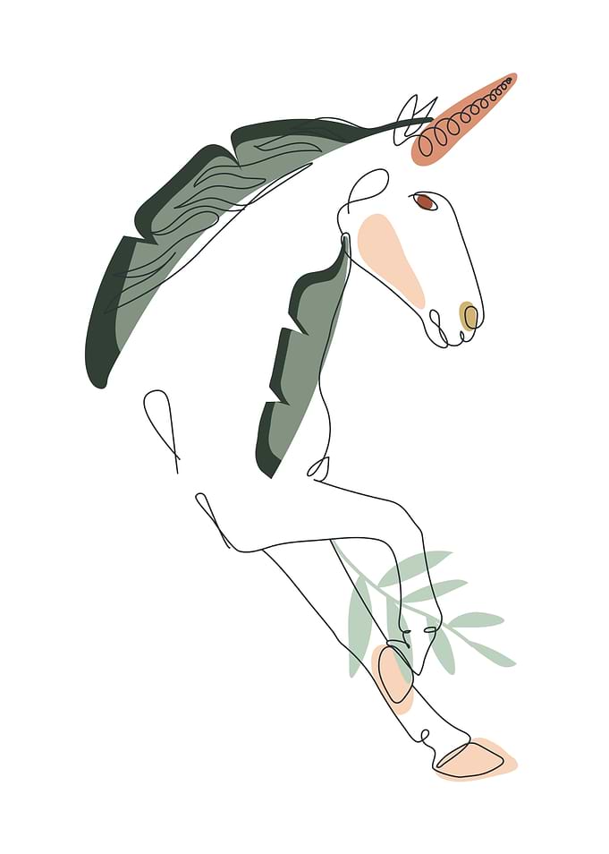 Minimalist Unicorn with Floral Accents