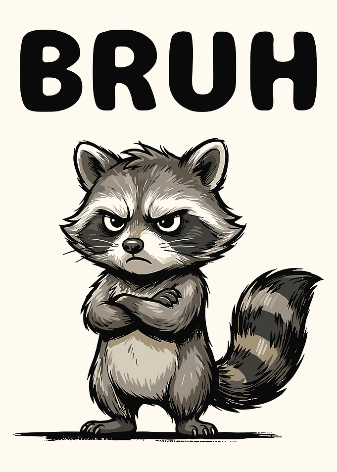 Bruh Raccoon Poster, Funny Angry Raccoon Meme Wall Art, Sarcastic Animal Print