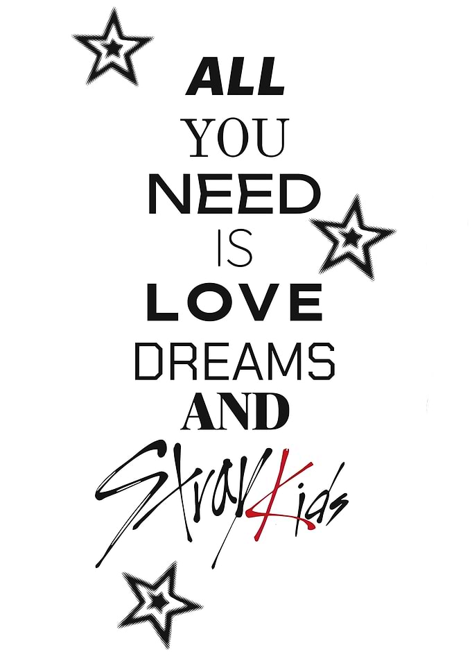 Stray Kids All You Need Is Love