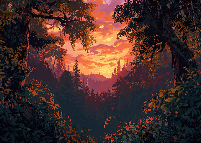 Forest Sunset Landscape