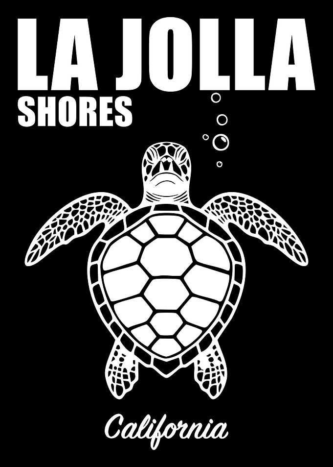 La Jolla Shores California Sea Turtle