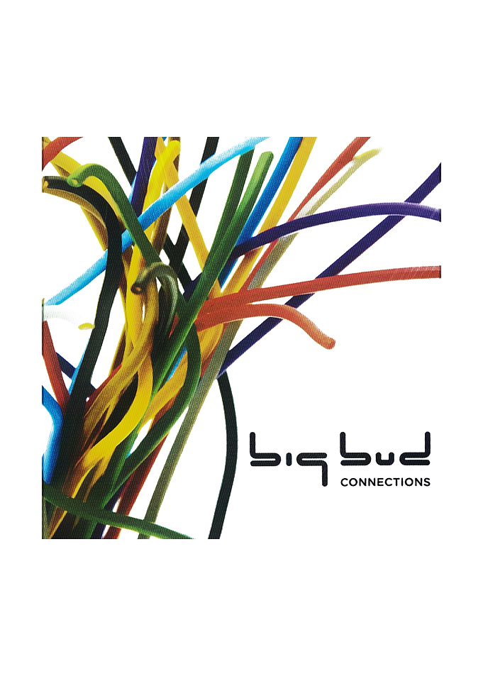 Big Bud Connections Abstract Art