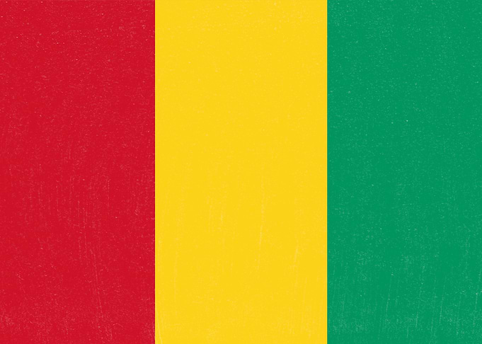 Guinea Flag Distressed