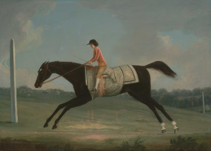 Horse and Jockey Racing