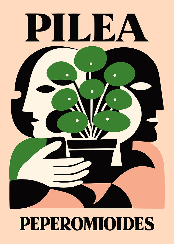 Pilea Peperomioides Plant Poster