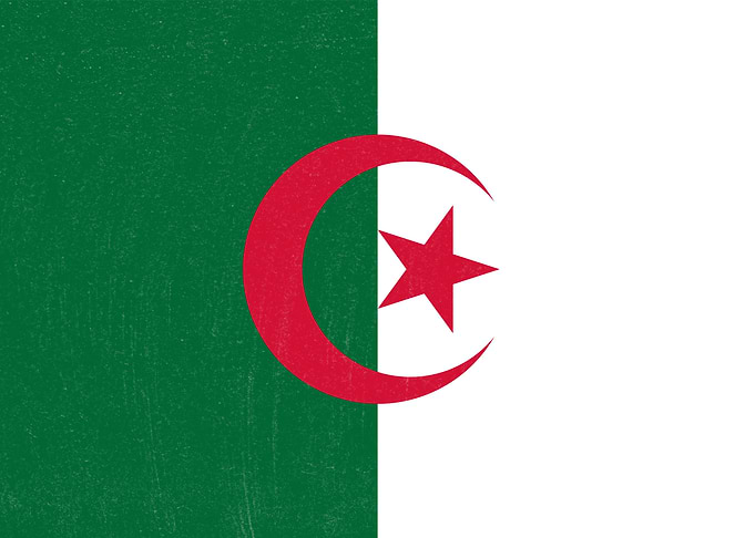 Algeria Flag Distressed