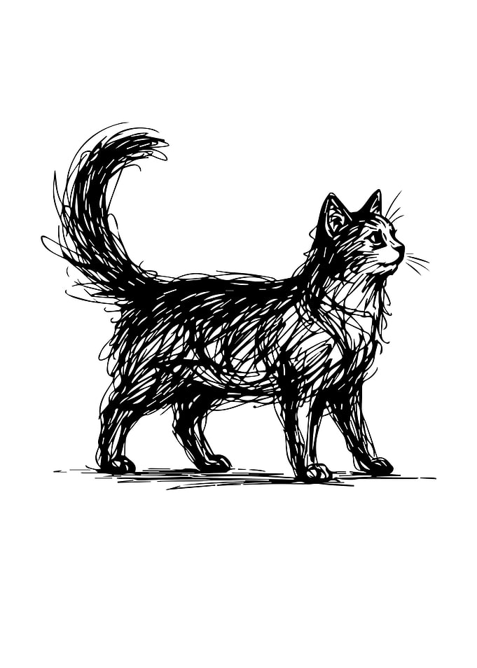 Cat in Scribbles