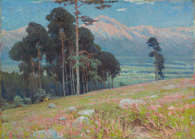 Mountain Landscape with Pine Trees and Meadow