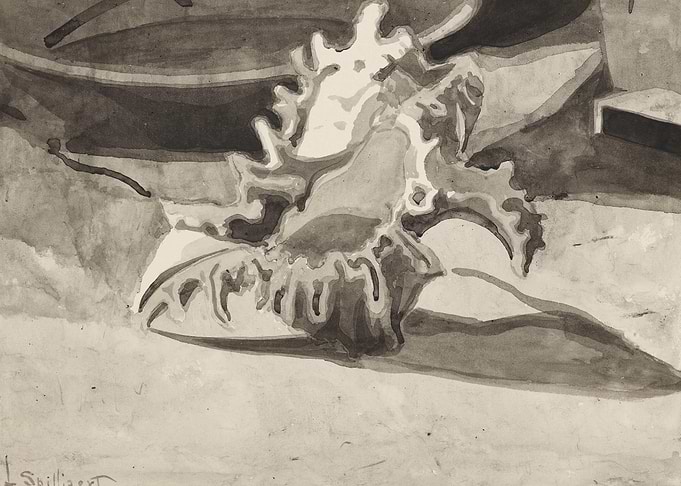 Seashell still life watercolor