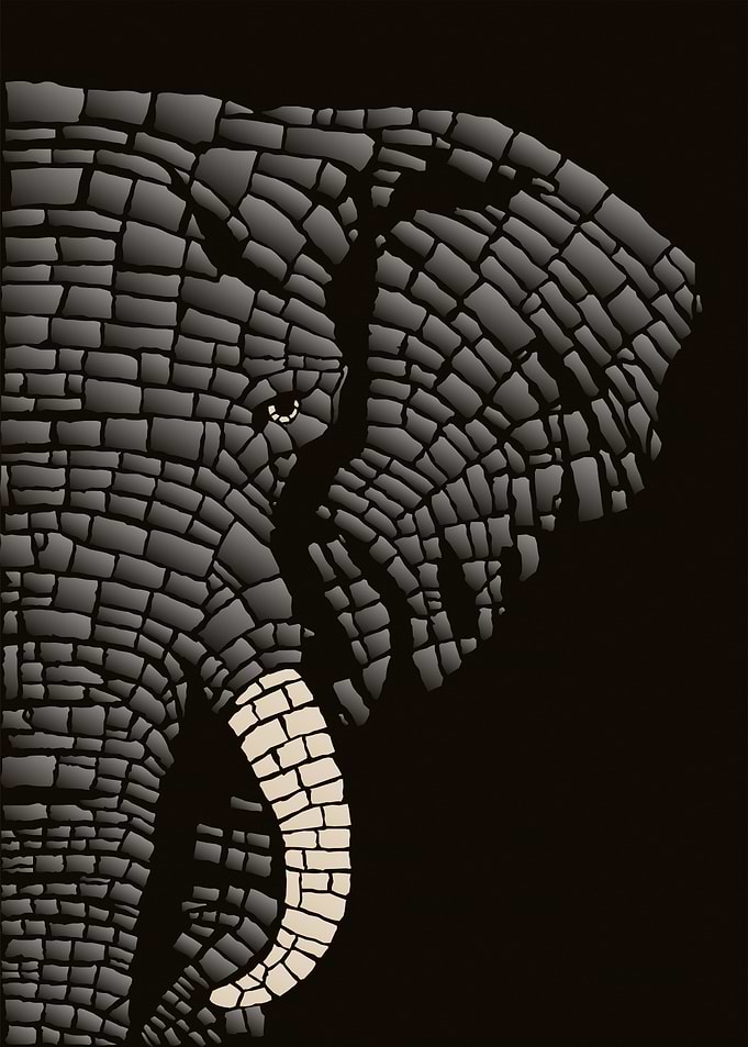 African Elephant with Tusk