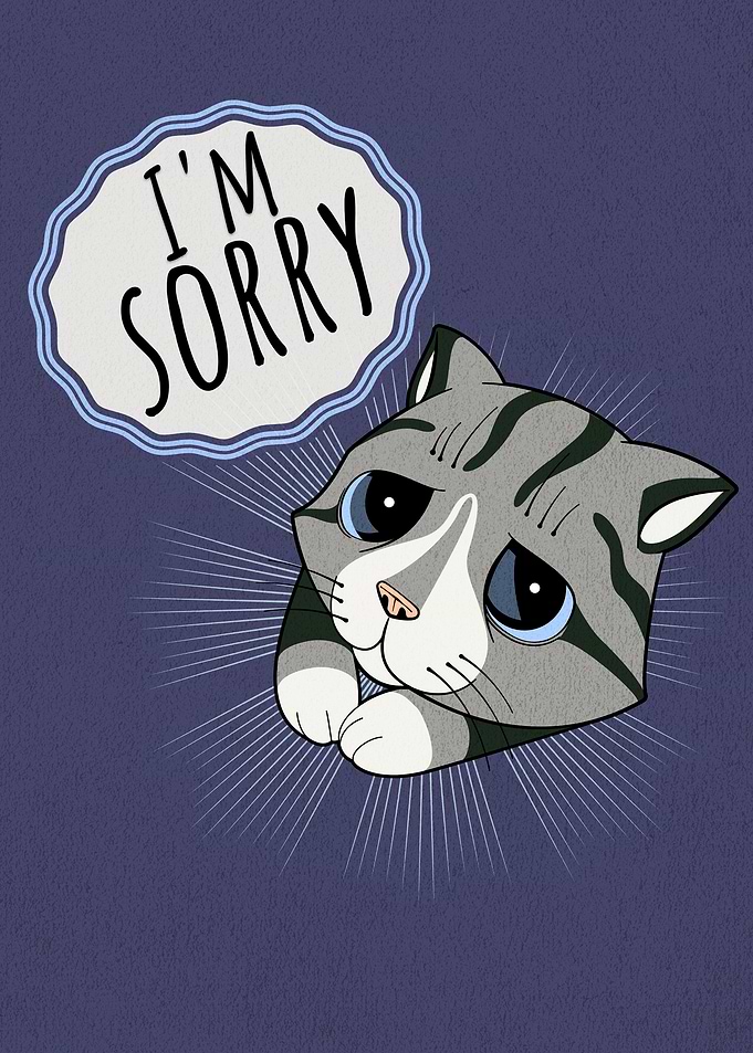 Sad Cat Saying I'm Sorry