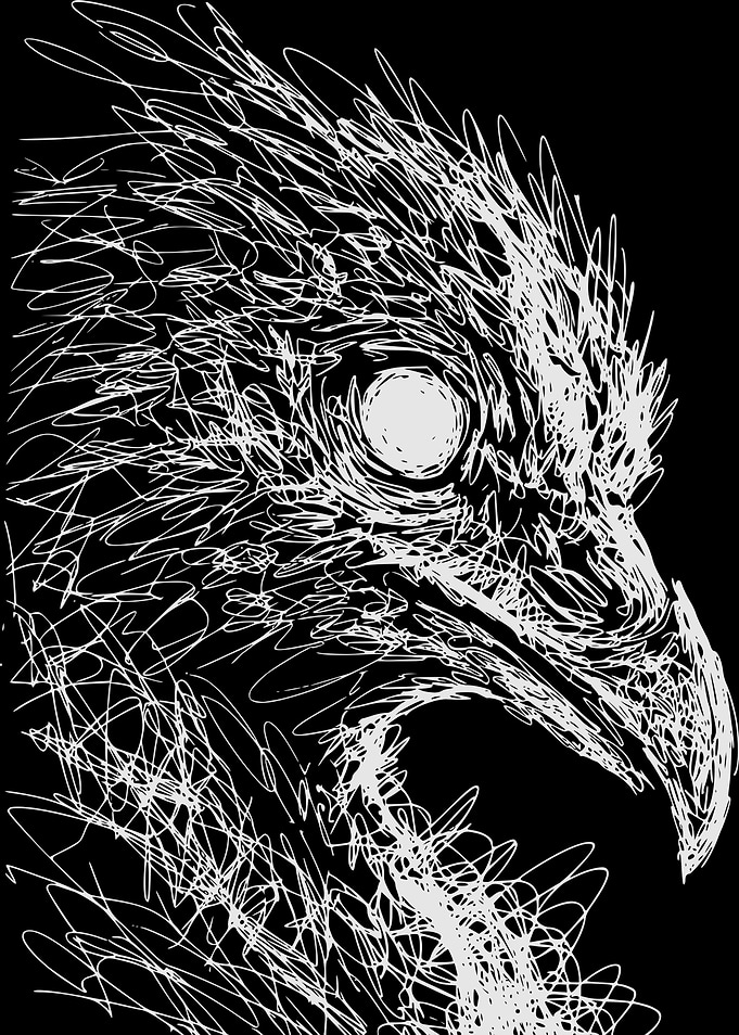 Scribbled Eagle Portrait