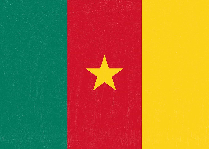 Cameroon Flag Distressed