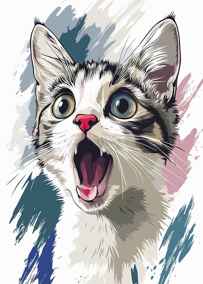 Surprised Cat Yawning