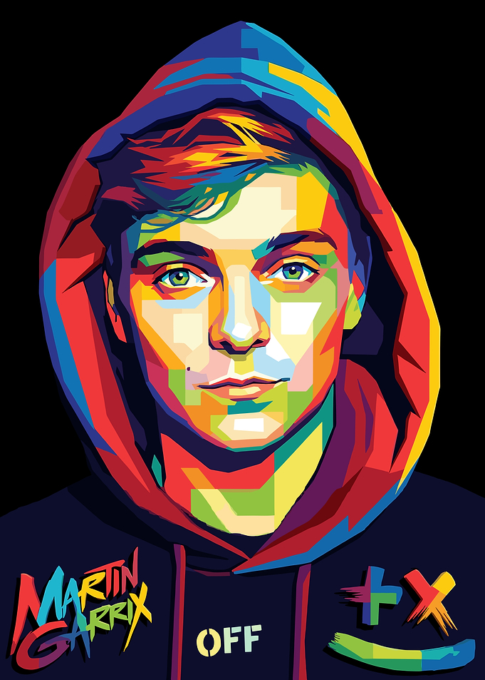 Martin Garrix Pop Art Portrait