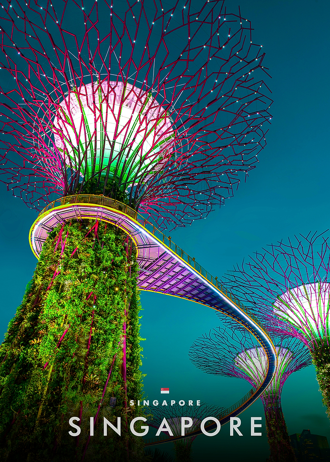 Singapore Supertrees at Night