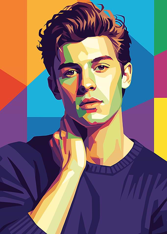 Pop Art of Shawn Mendes