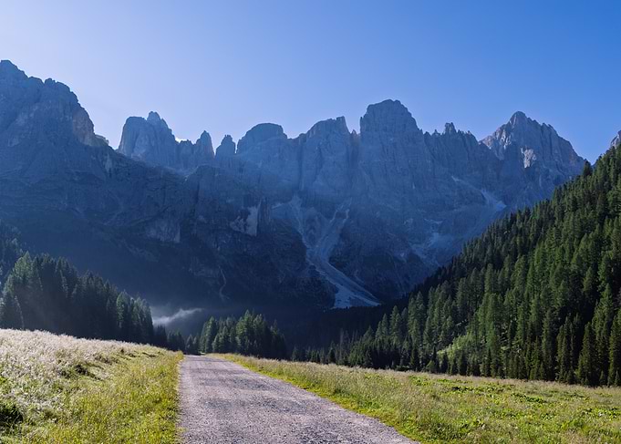 Mountain Road with Pine Forest - Val Venegia