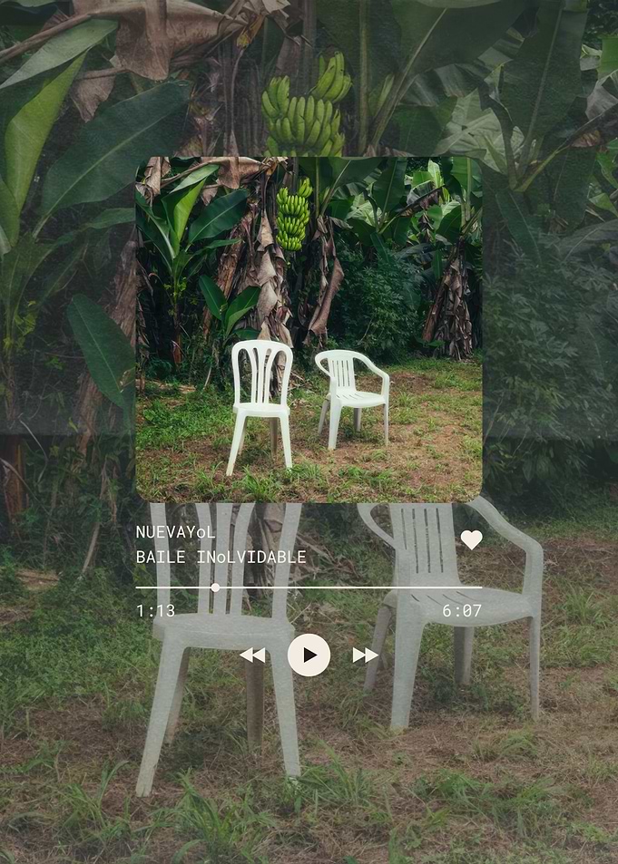 Music Player with Tropical Background
