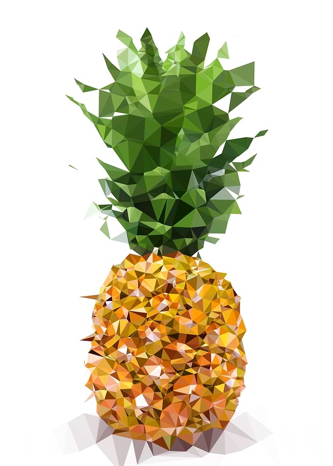 Low Poly Pineapple Art