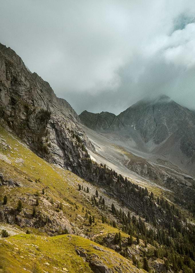 Misty Mountain Landscape with Pine Trees