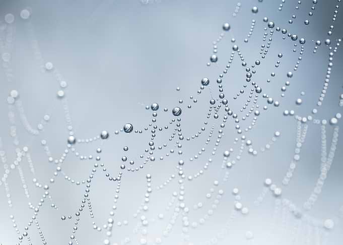 Dewdrops on a Spiderweb