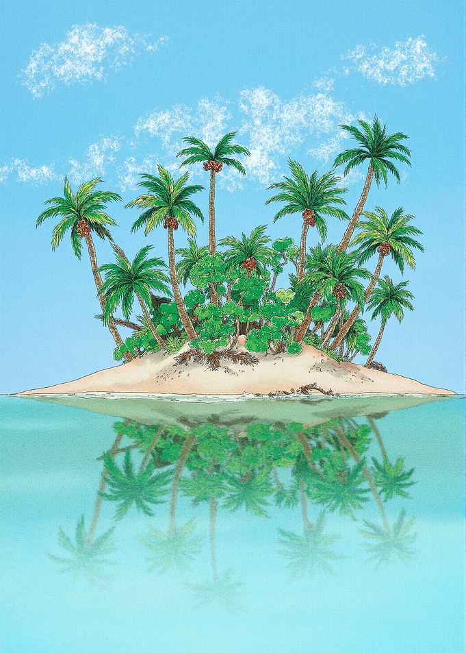 Tropical Island Reflection