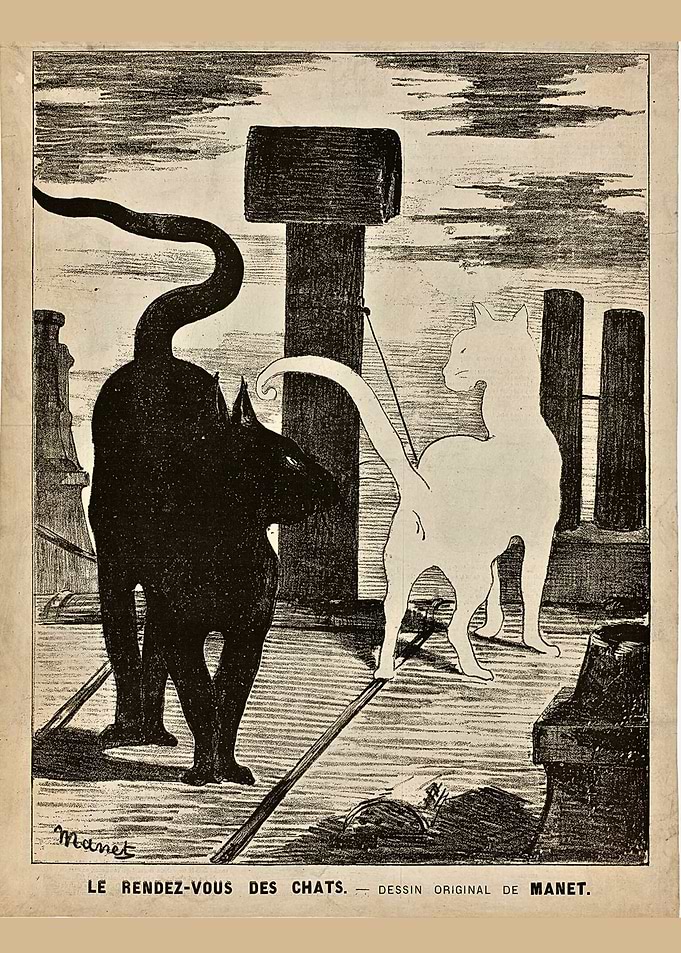 Two Cats Meeting