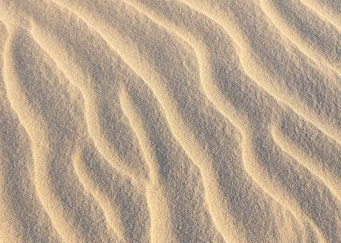 Sand Dunes Ripples