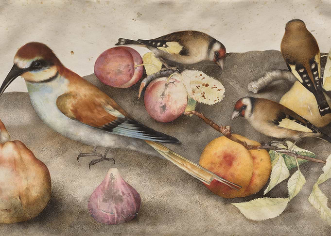 Still Life with Birds and Fruit