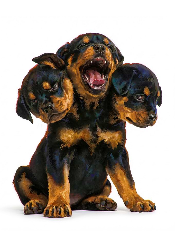 Cerberus Puppy