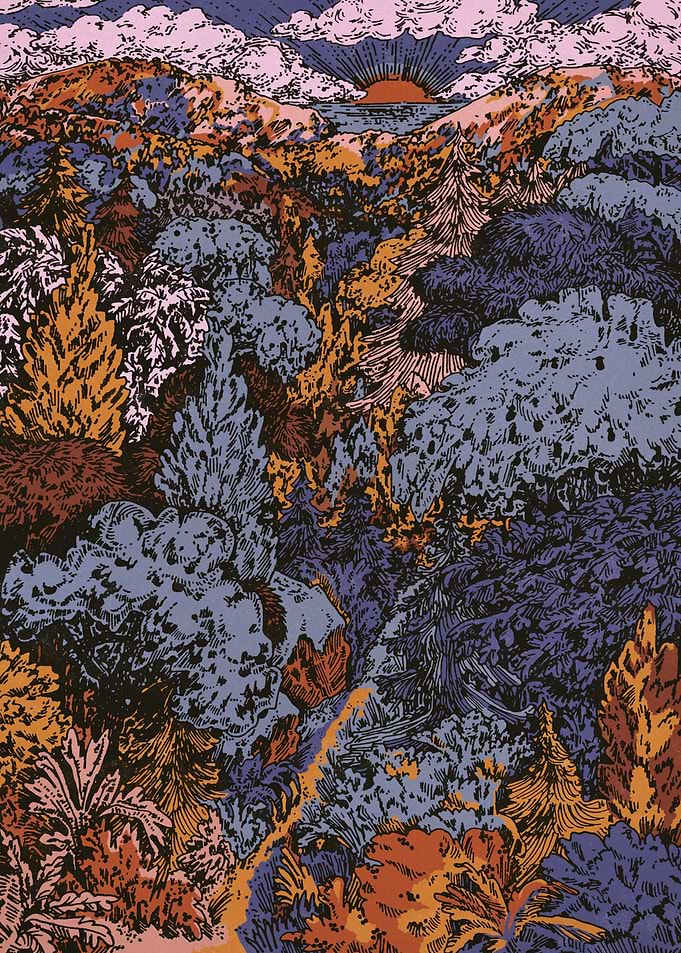 WOODLAND AT DAWN