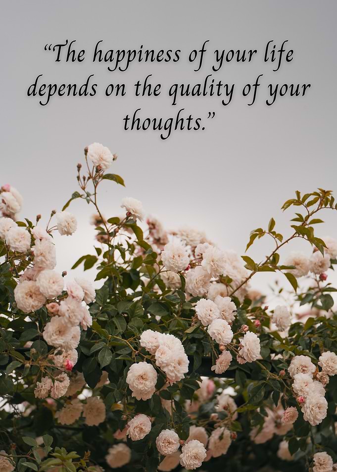 Inspirational quote with roses