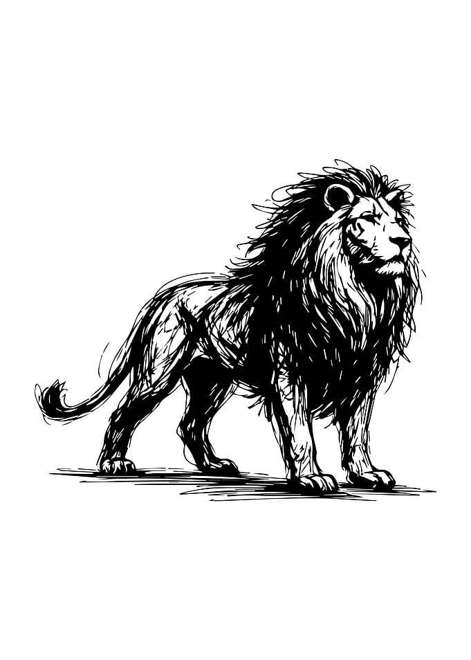 Majestic Lion Illustration