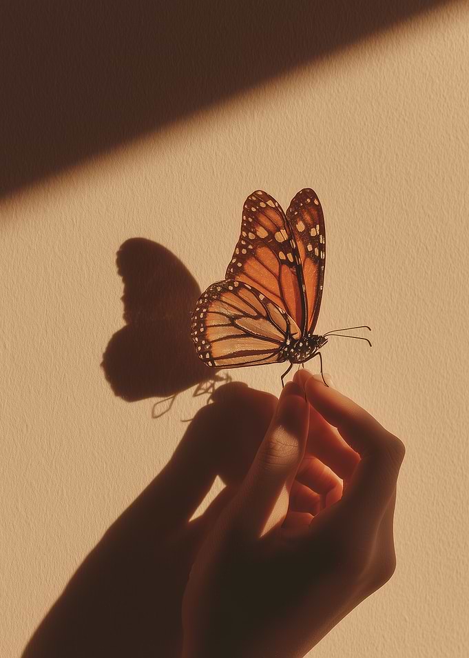 Monarch Butterfly on Hand