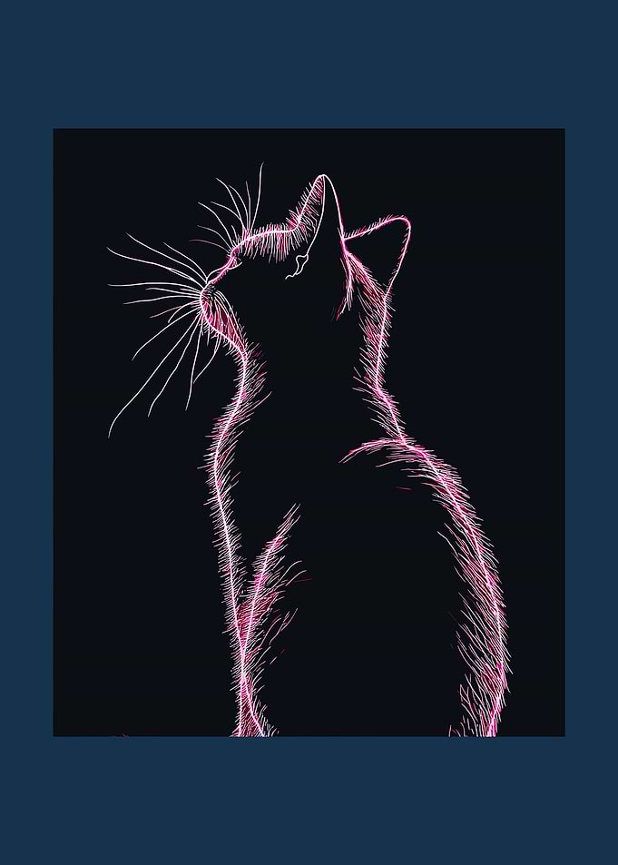 Neon Cat Silhouette