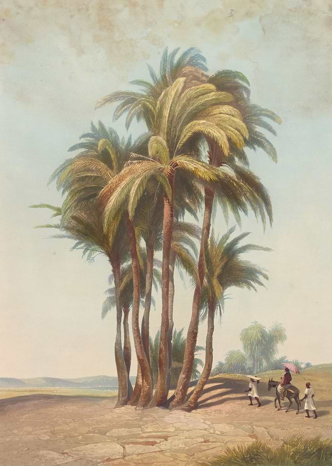 Palm Trees and Travelers in a Desert Landscape