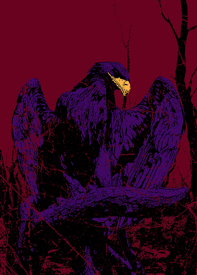 Eagle Fallout Grunge