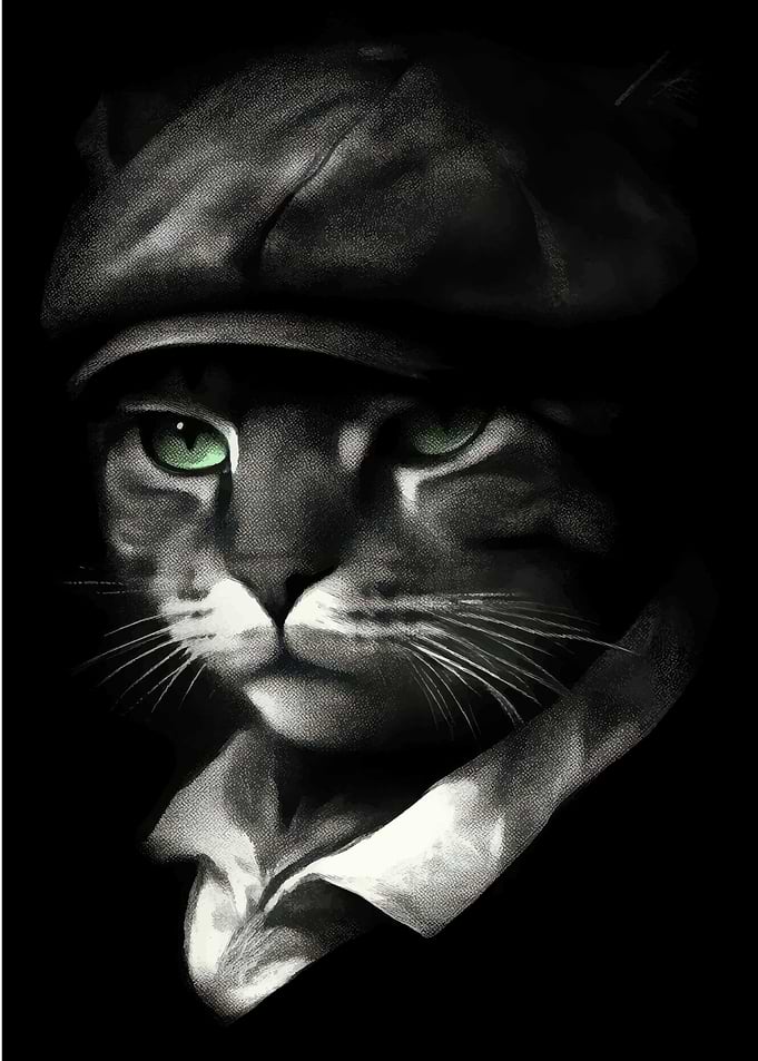 Cat Wearing a Hat and Scarf