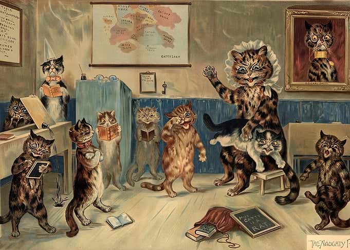 Cats in a Classroom