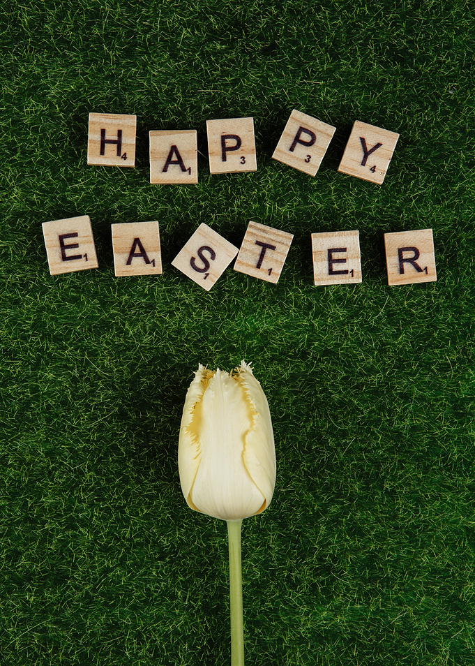 Happy Easter Tulip on Grass