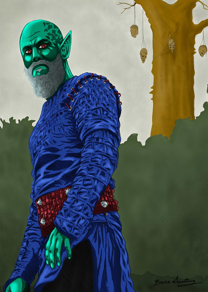 The Elf Warrior