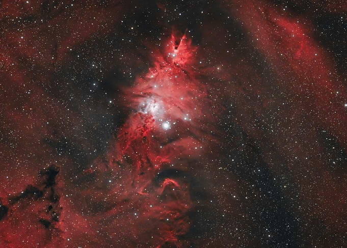 Christmas Tree Nebula and Stars