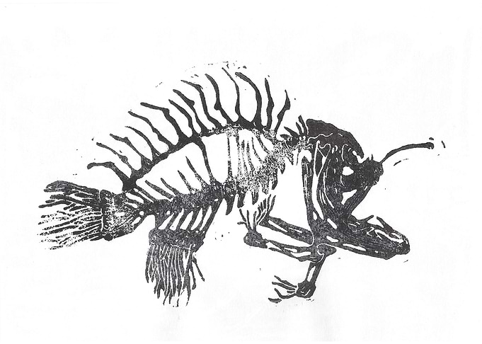 this used to be an anglerfish
