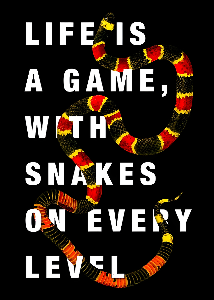 Life is a game with snakes on every level