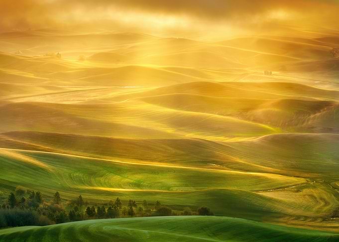 Golden Hour Rolling Hills Landscape