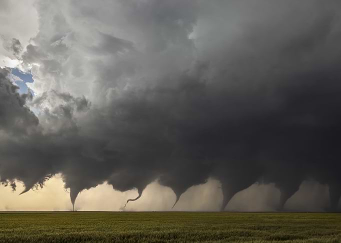 Multiple Tornadoes Over a Field