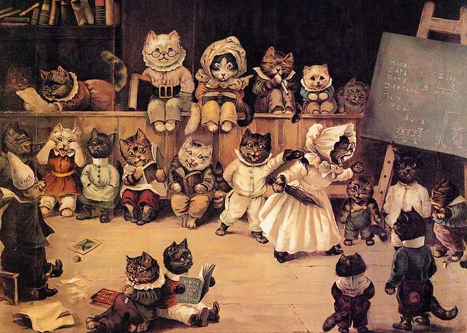 Cats in a Classroom